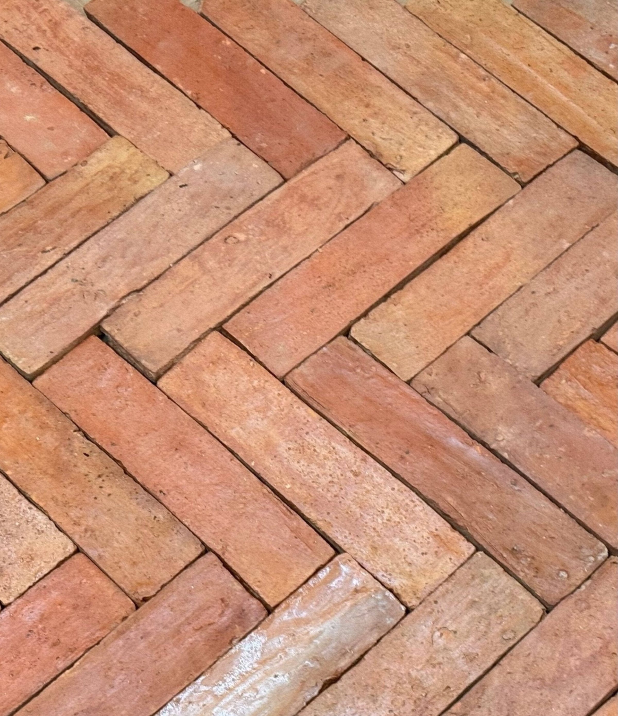 Baked Earth Pale Terracotta (Presealed) - Baked Earth