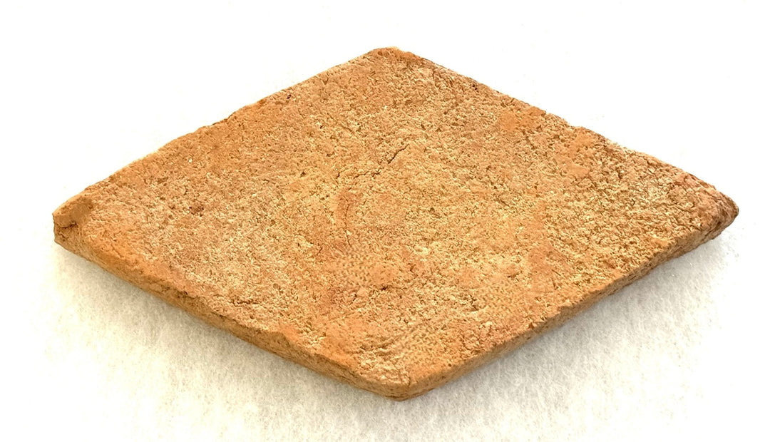 Saint Martin Pale Terracotta Diamond 10 x 20 x 2cm - Baked Earth