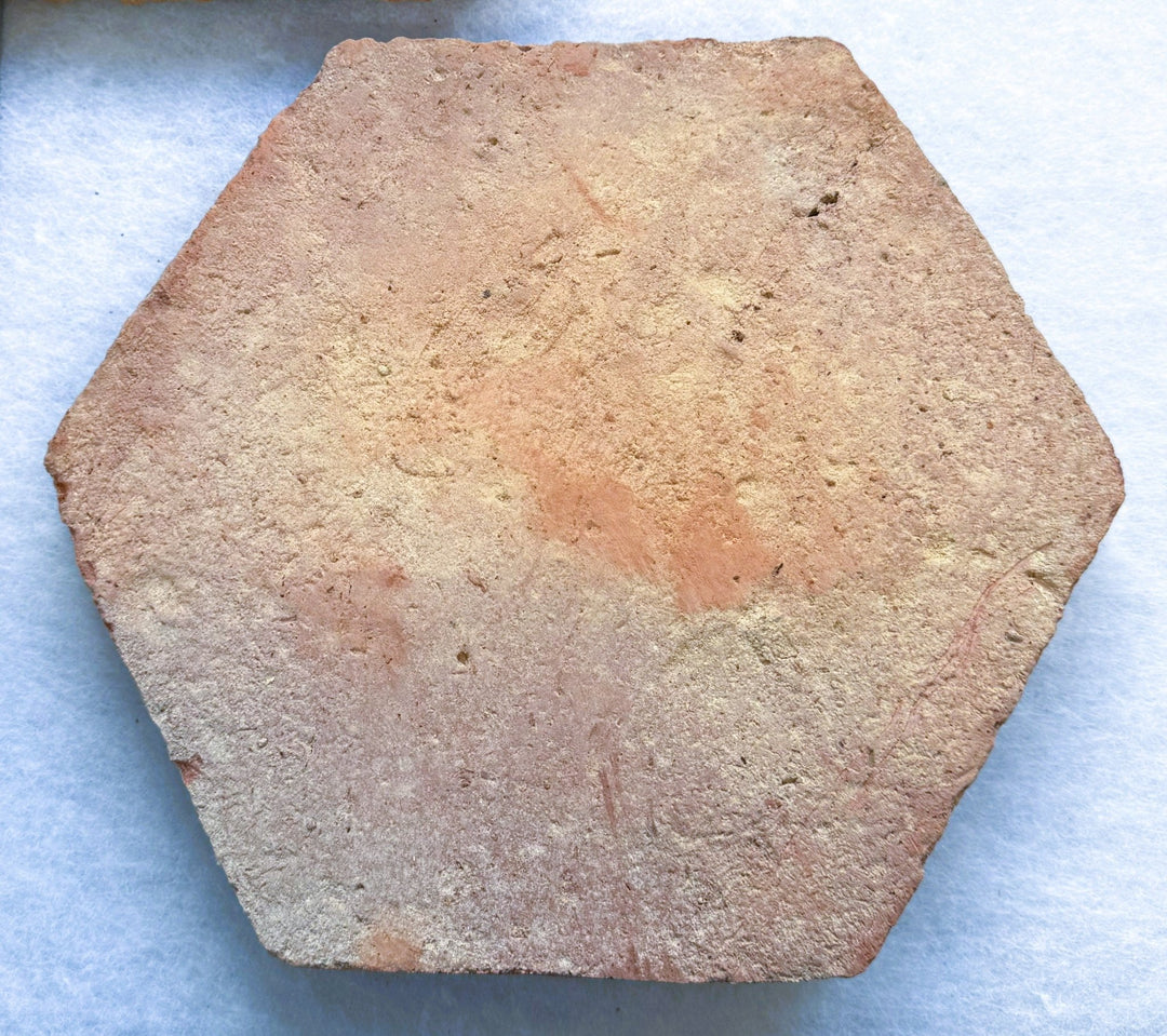 Saint Martin Pale Terracotta Hexagonal Tiles 20 x 20 x 2cm - Baked Earth